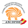 ANCOPORC 2025