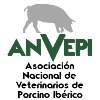 XIV Foro ANVEPI