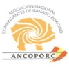 XVIII Congreso ANCOPORC