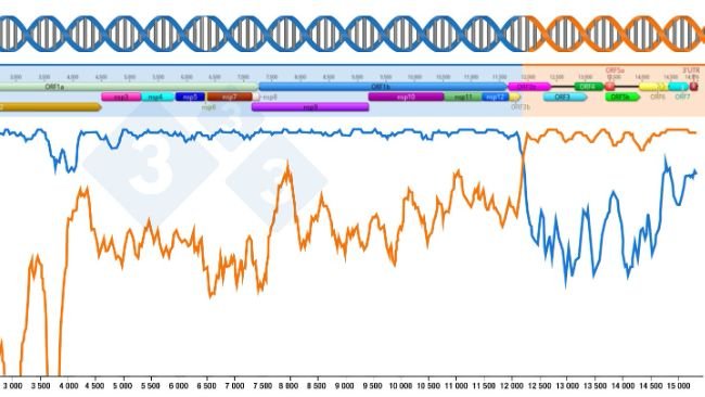 Figura 1: Representación de una recombinación que genera un nuevo virus. La región anterior y posterior a los puntos de intersección de las dos líneas indica la porción de genomas recibidos de los dos virus parentales. Las regiones del genoma se muestran en la parte superior.