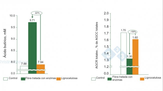 Figura 1. Controle = sem fibra, Fibra tratada com enzima = PNA solúvel, Lignocelulose = PNA insolúvel. (A) A produção de ácido butírico aumenta 22% em leitões (15 kg) durante a fermentação da fibra solúvel. (B) A fermentação da proteína é reduzida em 19% em leitões (15 kg) pela fermentação da fibra solúvel. SCFA = ácidos graxos de cadeia curta, SCFA = ácidos graxos de cadeia ramificada.