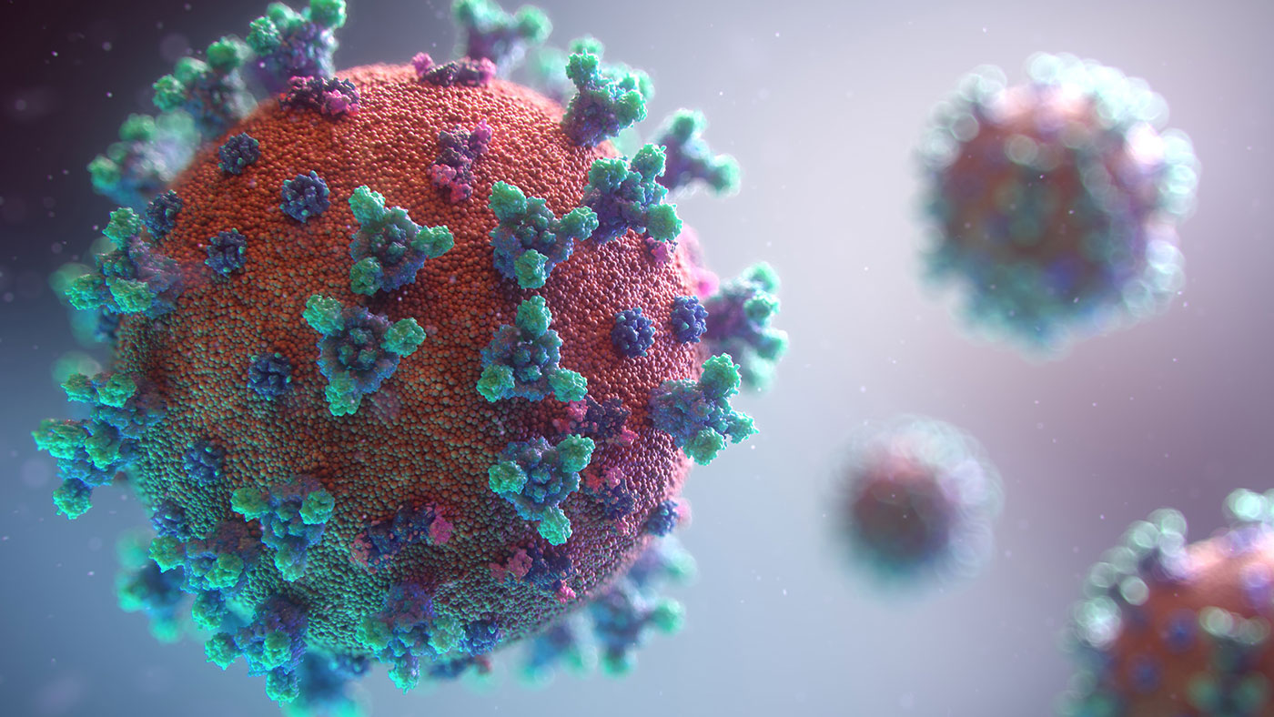 COVID-19 e i virus dei suini : Cosa possiamo imparare? - Articoli - 3tre3,  la pagina del suino