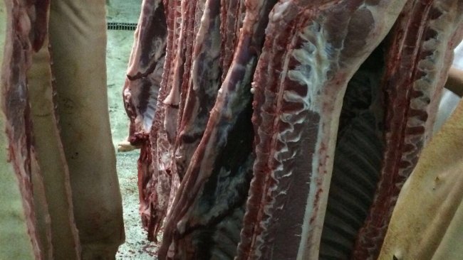 coronavirus reprise de la filière porcine en Chine