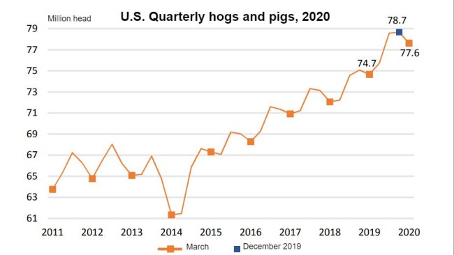 Fonte: NASS/USDA