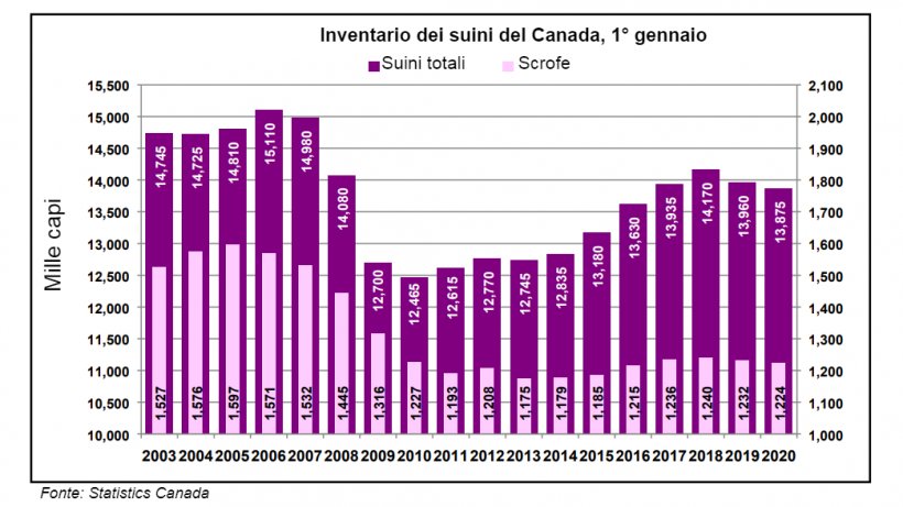 Canada&nbsp;1&deg; gennaio&nbsp;inventario dei suini e scrofe per anno
