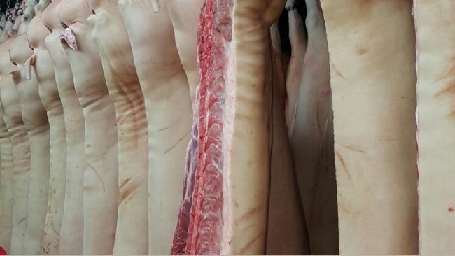carne cerdo