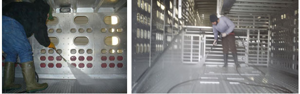 Pulizia a umido di particelle organiche fini mediante lavaggio meccanico dellinterno di un veicolo per il trasporto di suini