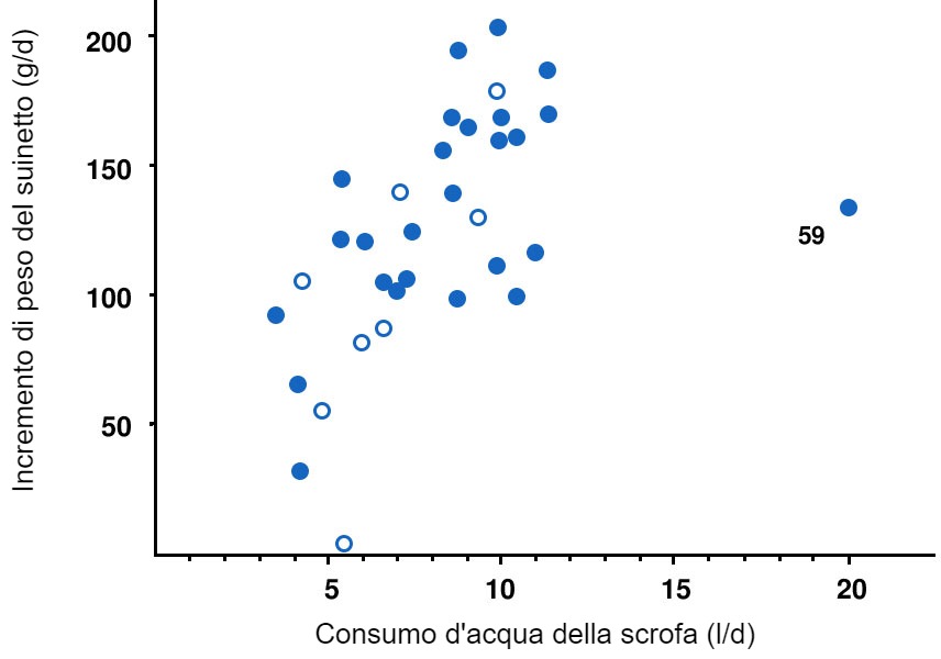 Illustrazione 6. Rapporto tra l'aumento di peso medio dei suinetti (g / g) durante i primi 3 giorni dopo la nascita e il consumo medio di acqua della scrofa (l / g) negli stessi 3 giorni pi&ugrave; il giorno del parto. Ogni punto rappresenta una delle 34 figliata&nbsp;con registrazioni complete di aumento di peso e consumo di acqua. Le scrofe con una temperatura corporea massima di > 40,6 &deg; C (> 105 &deg; F) sono mostrate a cerchi aperti. La correlazione &egrave; r = 0,53 sulla base di tutti i dati, r = 0,68 omettendo la figliata 59 (il valore anomalo sulla destra) e r = 0,65 omettendo il valore anomalo e scrofe con temperatura corporea elevata.
