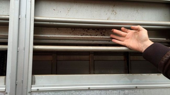 Foto 3: Pannelli laterali dopo la pulizia e la disinfezione.