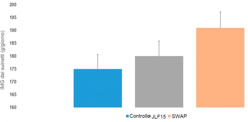 Figura 3. IMG dei suinetti nei 3 sistemi studiati (Convenzionale, JLF15 e&nbsp;SWAP).
