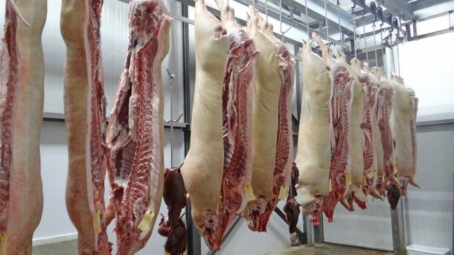 carne de cerdo