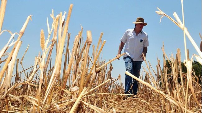 agricultores