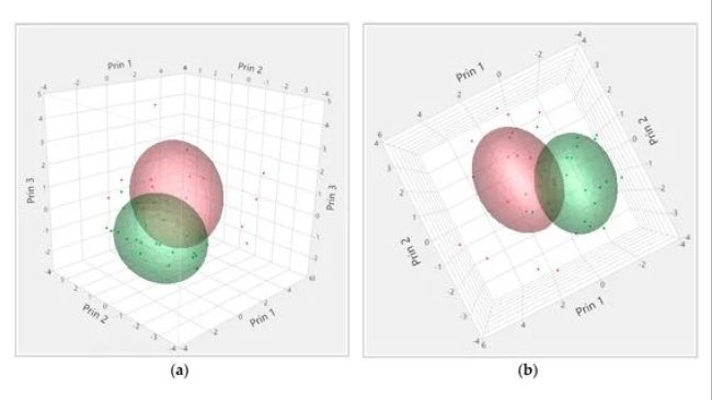 Rappresentazione tridimensionale dei carichi secondo i livelli di cortisolo e CK da differenti angolazioni (a,b). Ogni punto equivale ad un carico. Cluster 1 (rosso, 21 carichi), Cluster 2 (verde, 23 carichi). L'area colorata rappresenta l'aria in torno al cluster centrale.