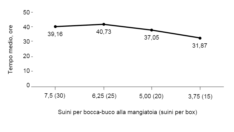 Figura 1. Tempo medio fino all&#39;inizio dell&#39;ingestione&nbsp;di mangime in base al N&deg; di suini per bocca della mangiatoia&nbsp;e per box durante lo svezzamento. Lineare, P &lt;0,001; Quadratico, P = 0,081. 