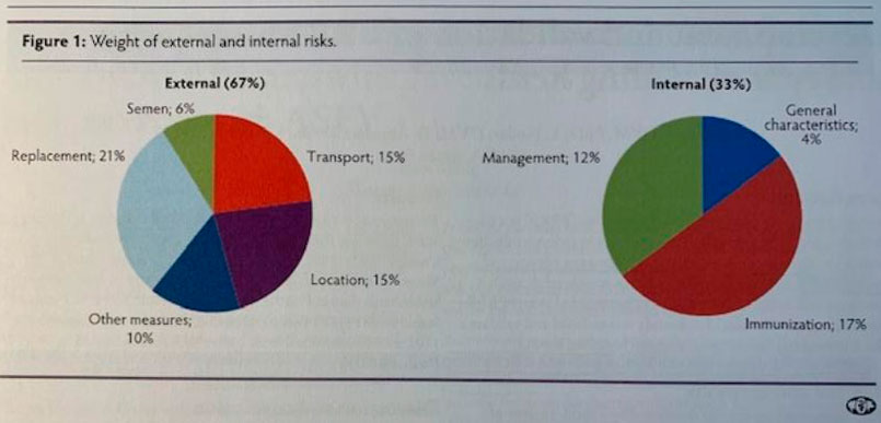 Figura 1. Importanza dei rischi esterni ed interni.
