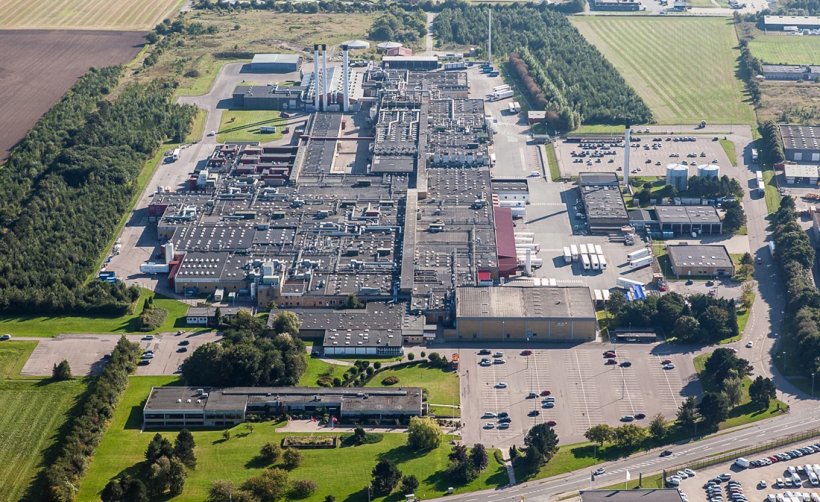 matadero porcino danish crown covid-19