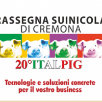 Italpig