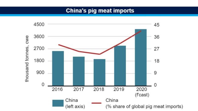 Importazione di carni suine da parte della Cina. Fonte: FAO.
