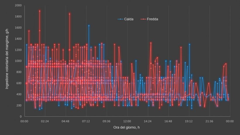 Figura 2. Effetto della stagione e dell&#39;ora del giorno sull&#39;ingestione&nbsp;giornaliera di mangime nelle scrofe che allattano (linee continue). Ogni punto rappresenta i dati di 18 scrofe nella stagione fredda e 32 scrofe nella stagione calda.
