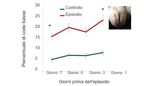 Figura 1. Percentuale di code basse nei giorni precedenti lepisodio.