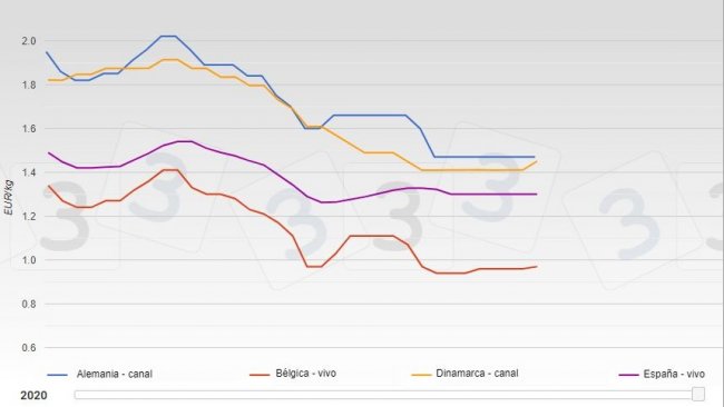 Evoluzione dei prezzi dei suini nei&nbsp;diversi paesi europei da gennaio ad agosto 2020.
