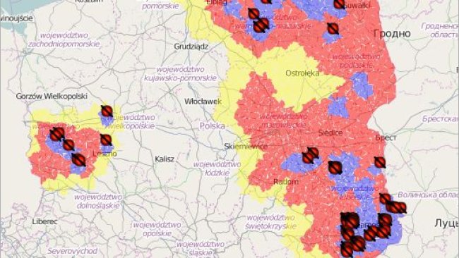 PPA Polonia - brotes cerdo doméstico - 2020