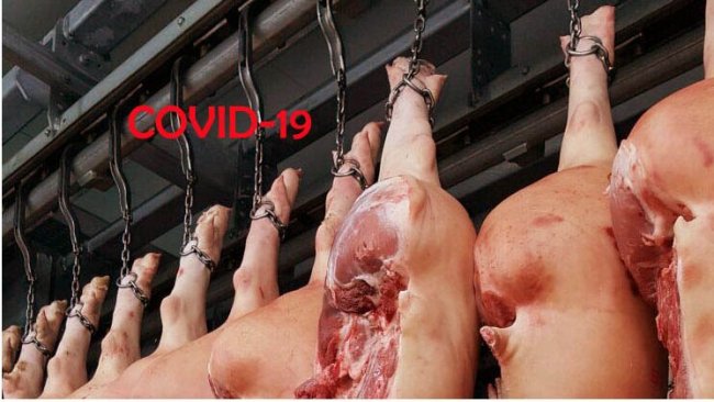 covid carne