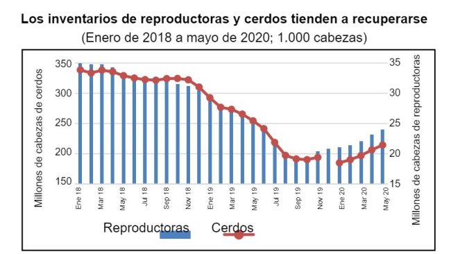 Dati di dicembre 2019 non disponibili. Fonte: MARA