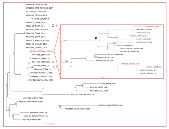 Bayesian phylogenetic tree based on ASFV complete 