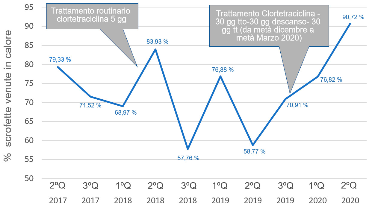 Grafico&nbsp;1. Evoluzione % di scrofette con segni del calore.
