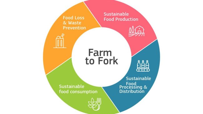 Dall'allevamento alla tavola