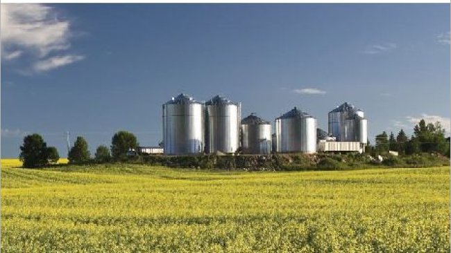 Immagine 2. Fabbrica di mangimi nel Nord America. Fonte ANACAN.