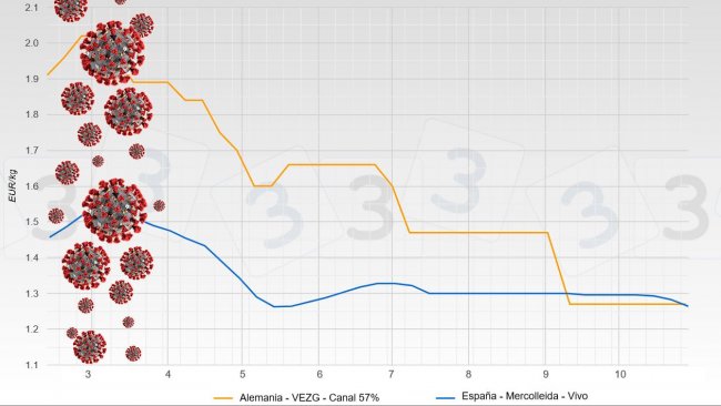 Evoluzione del prezzo del suino dopo il Covid (il prezzo della Germania è per la carcassa e quello della Spagna è a peso vivo)