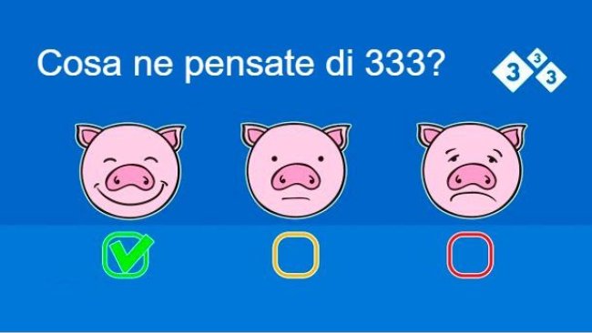 Cosa ne pensate della 333