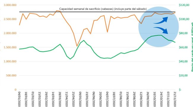 Grafico 1. Macellazioni settimanali sotto controllo federale, capacità di macellazione e prezzo dei suini negli Stati Uniti nel 2020. Fonte: USDA, NASS, Quickstats and Market News Service