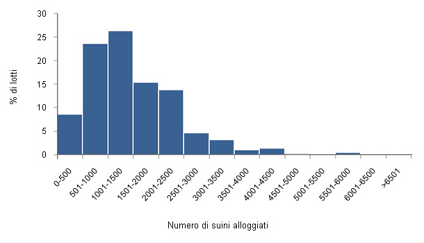 Distribuzione del numero di suini alloggiati per lotto di svezzamento e ingrasso