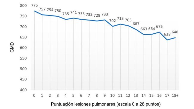 Figura 2: Valore dell'IMG (grammi) in funzione del punteggio della lesione polmonare (scala da 0 a 28 punti). Adattato da Pagot et al. (2007).