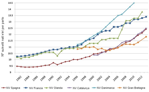 Evoluzione del numero di suinetti nati per&nbsp;parto in diversi paesi
