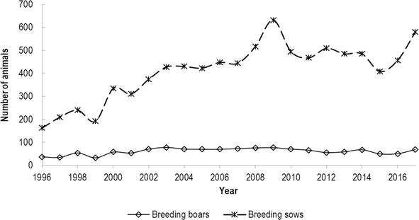 Census of Basque pig breed, presenting the evolution of the number of sows and boars per year, starting with the year of heard book establishment