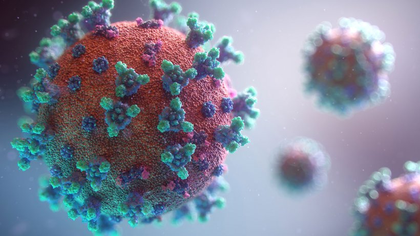 Fonte: Fusion Medical Animation on Unsplash

