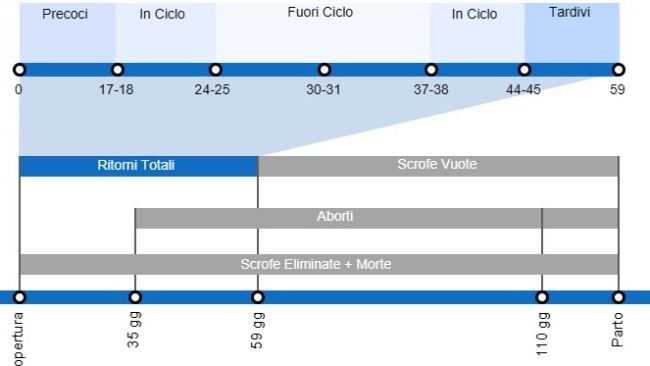 Tipi di perdite riproduttive che comportano una portata al parto inferiore, con dettagli sui diversi tipi di ritorni a seconda del momento in cui si verificano.