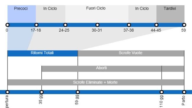Tipi di perdite riproduttive che comportano una portata al parto inferiore, con dettagli sui diversi tipi di ritorni a seconda del momento in cui si verificano.