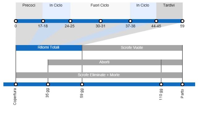 Tipos de p&eacute;rdidas de gestaci&oacute;n que repercuten en una menor tasa de partos, con el detalle de los distintos tipos de repeticiones seg&uacute;n en el momento en que se producen.
