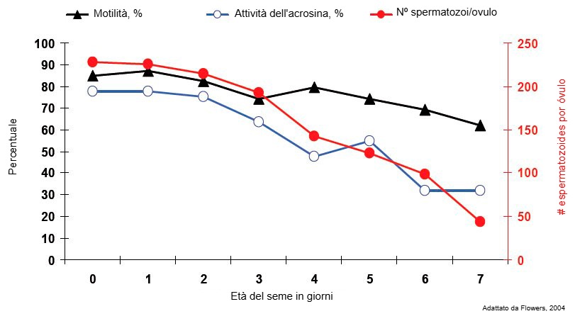 Età delle dosi seminali