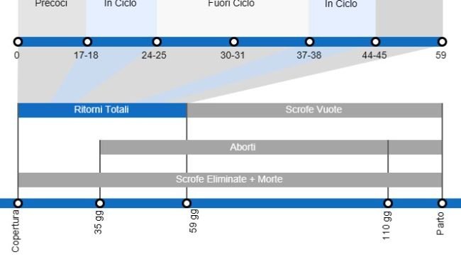 Tipi di aborti che comportano un tasso di natalità inferiore, con dettagli sui diversi tipi di ripetizioni a seconda del momento in cui si verificano.