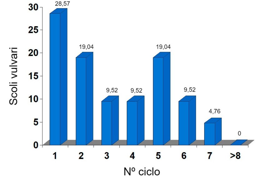 Scoli vulvari&nbsp;come percentuali sulle copertura&nbsp;per ciclo in un allevamento con problemi di ripetizione irregolare.
