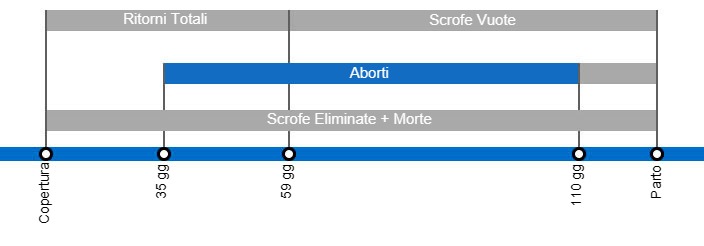 Tipi di perdite di gestazione che determinano un calo di portata al parto, con il dettaglio dei diversi tipi di perdite secondo l'intervallo tra inseminazione e perdita.
