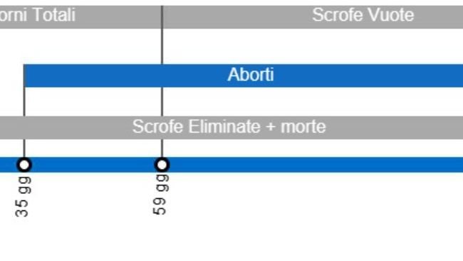 Tipi di perdite di gestazione che portano ad un calo della portata al parto, con il dettaglio dei diversi tipi di perdite secondo l'intervallo tra inseminazione e perdita.