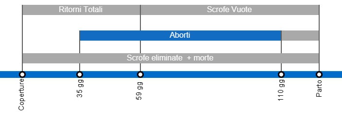 Tipi di perdite di gestazione che portano ad un calo della portata al parto, con il dettaglio dei diversi tipi di perdite secondo l'intervallo tra inseminazione e perdita.
