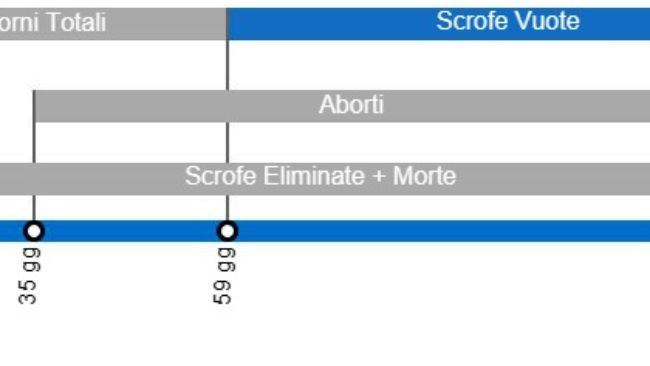 Tipos de pérdidas de gestación que repercuten en una menor tasa de partos, con el detalle de los distintos tipos de repeticiones según en el momento en que se producen.
